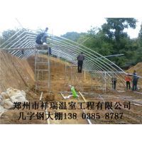 【中国温室网-温室工程协会主办温室大棚设计建设企业平台图片